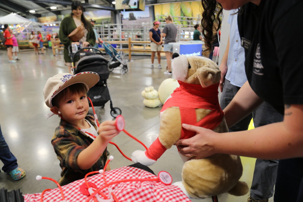 a child pretending to perform a veterinary physical exam with a stuffed animal